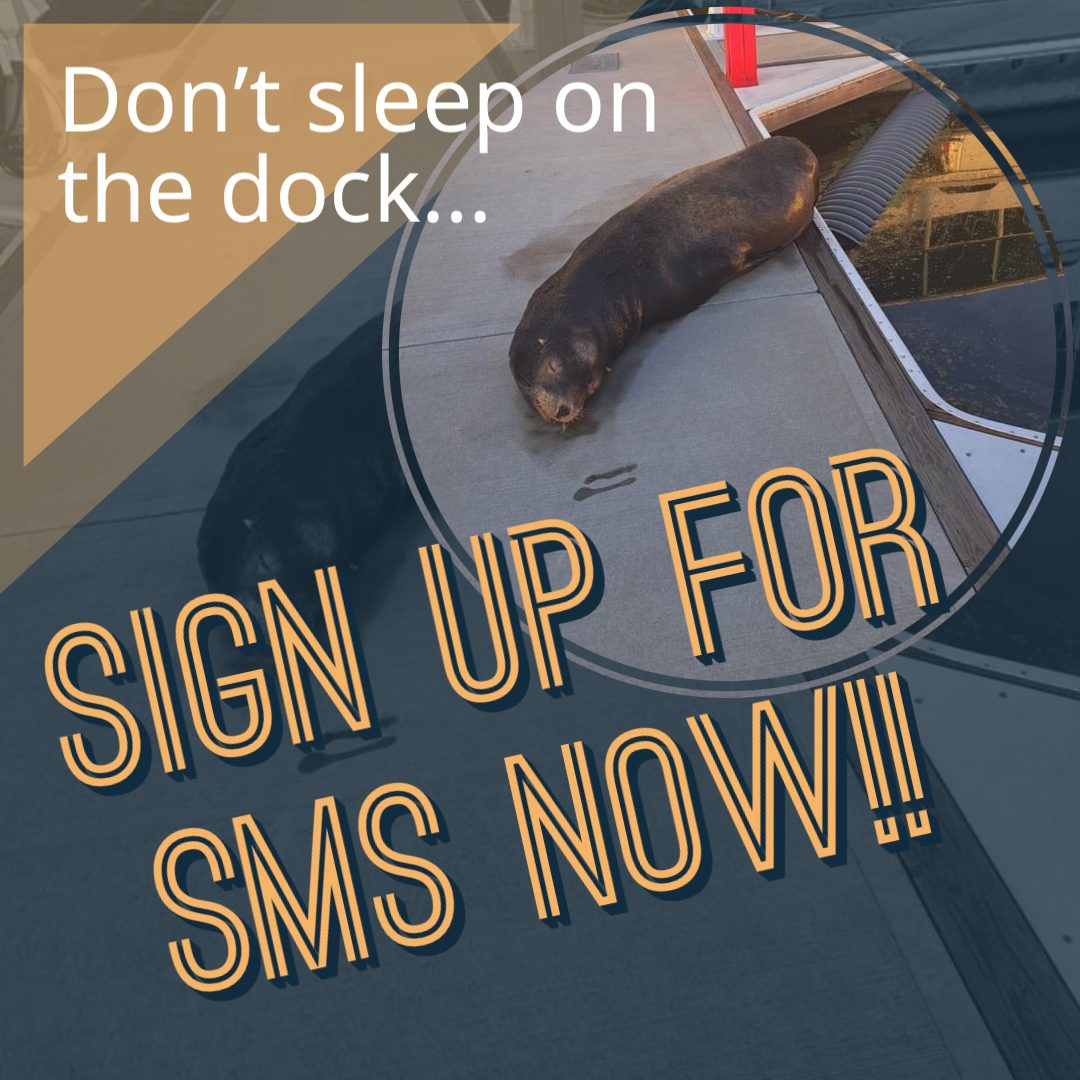 Don’t sleep on the dock…