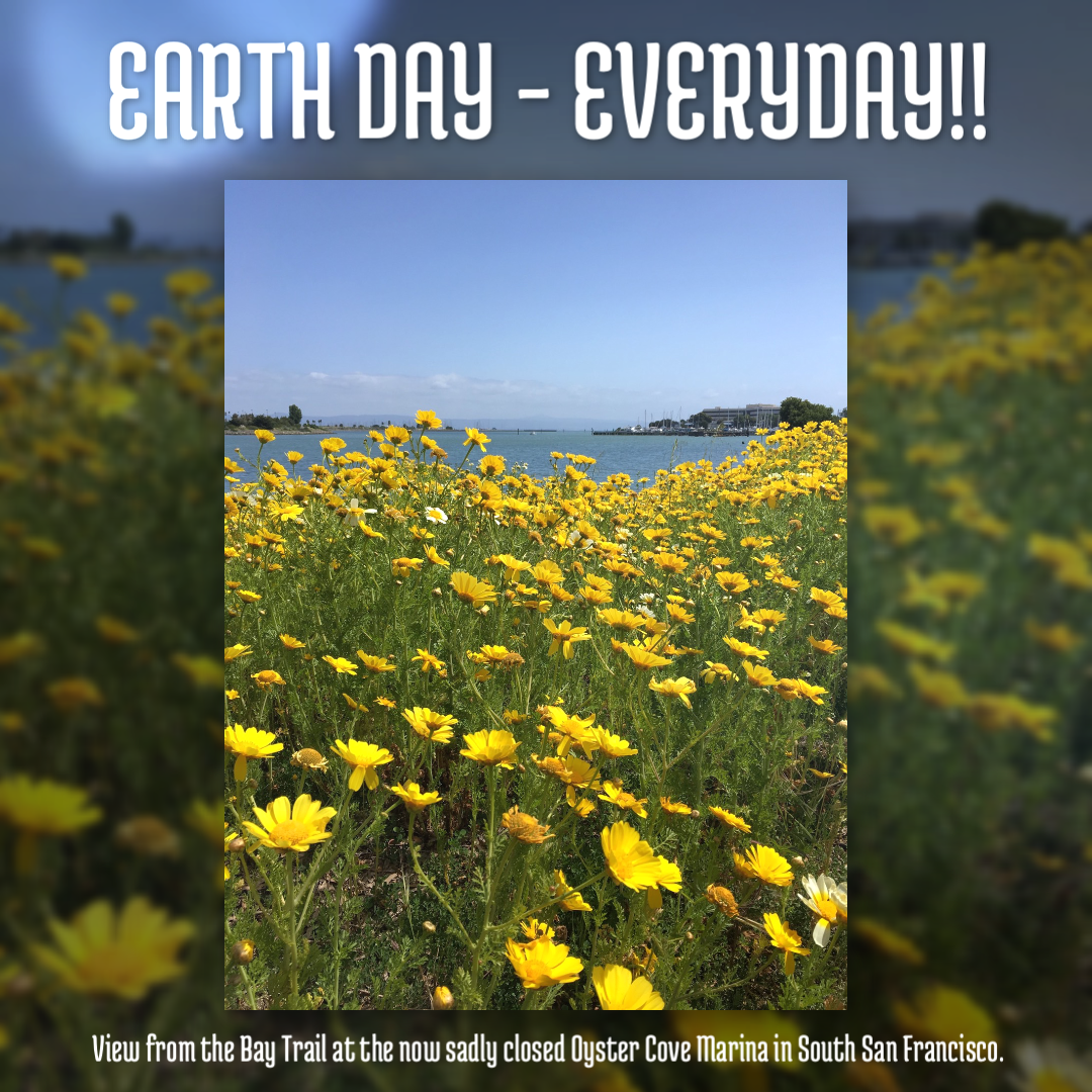 Earth Day - Everyday!!